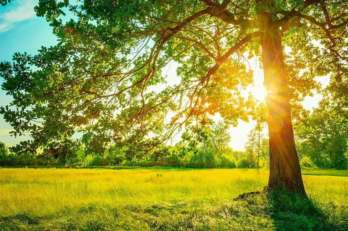 Havalar Ne Zaman Isınacak? Meteoroloji Hava Durumu Tahminini Paylaştı
