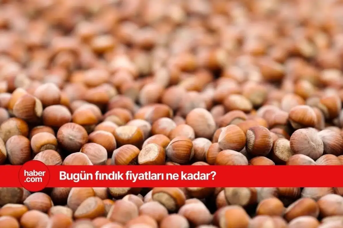 12 Mart 2025 Çarşamba fındık fiyatları ne kadar? İl il fındık fiyatları