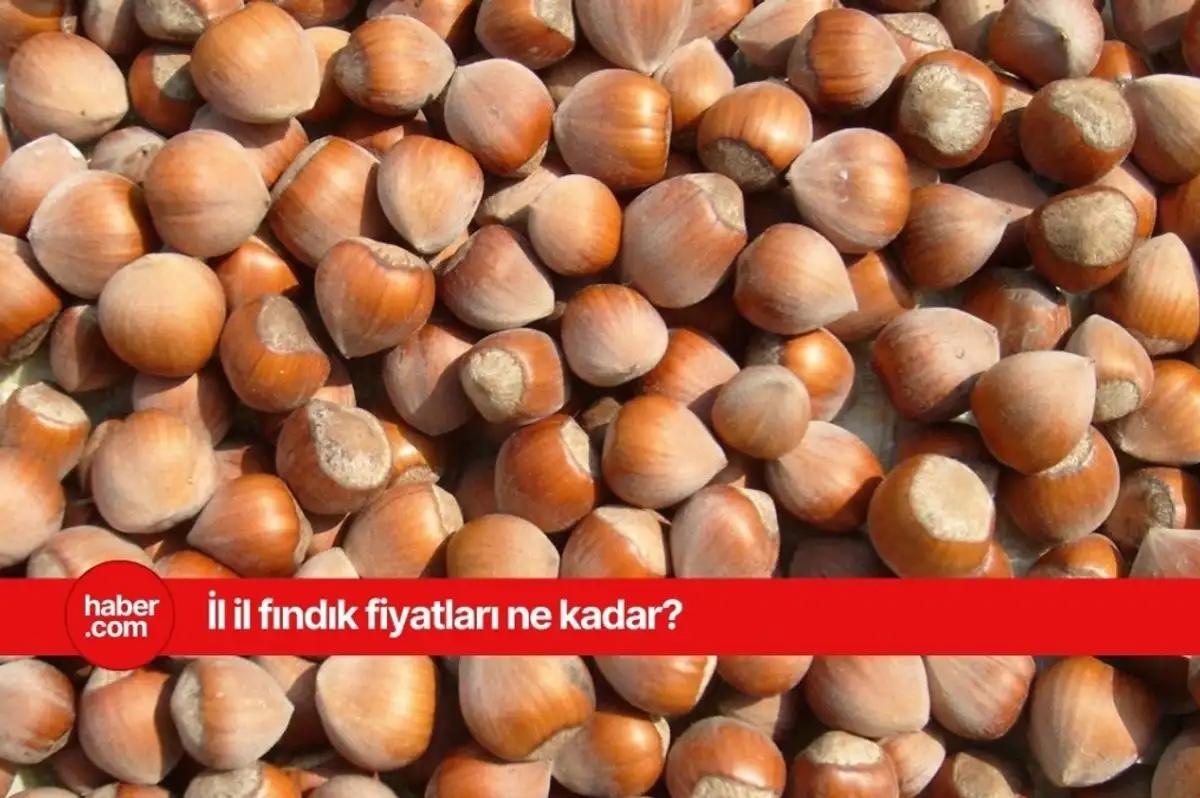13 Mart 2025 Perşembe fındık fiyatları ne kadar? İl il fındık fiyatları