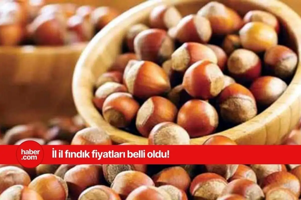17 Mart 2025 Pazartesi fındık fiyatları ne kadar? İl il güncel fındık fiyatları