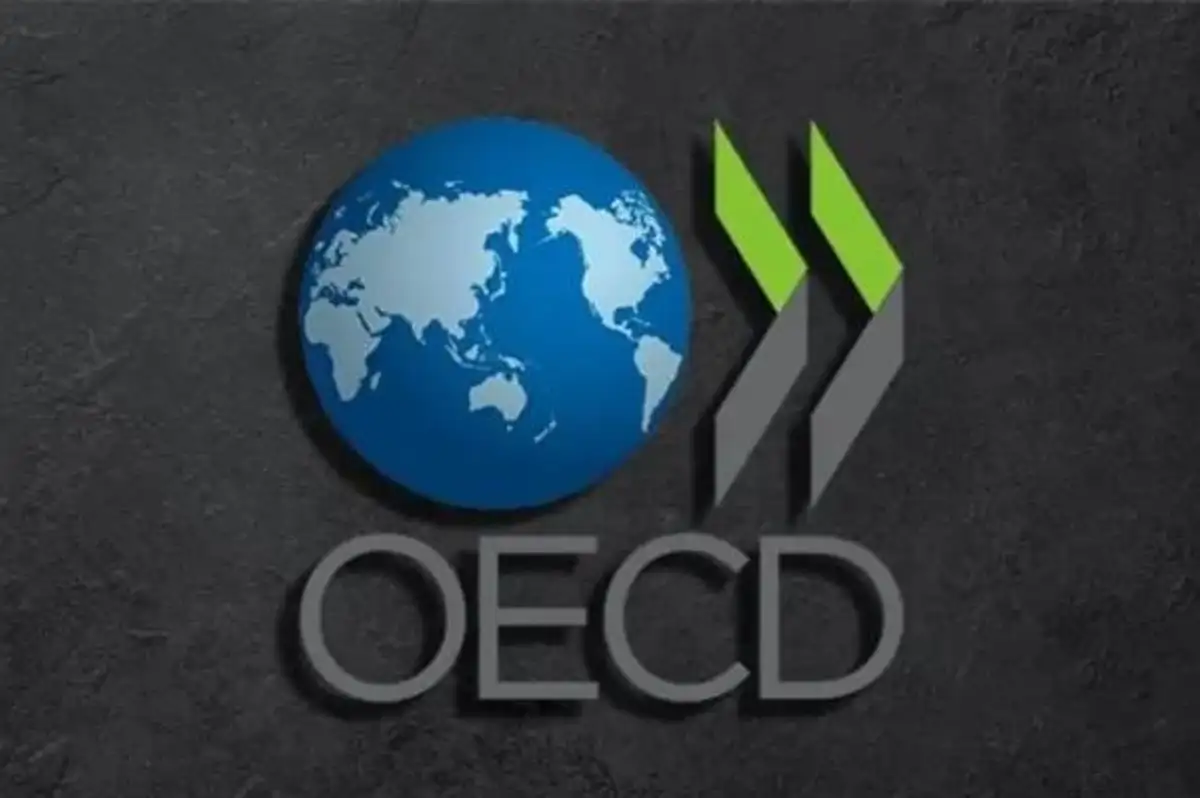 OECD Türkiye için Yıl Sonu Enflasyon Beklentisini Açıkladı
