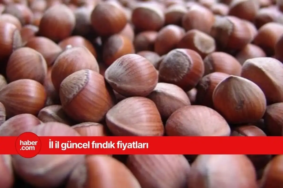 19 Mart 2025 Çarşamba fındık fiyatları ne kadar? Güncel fındık fiyatları