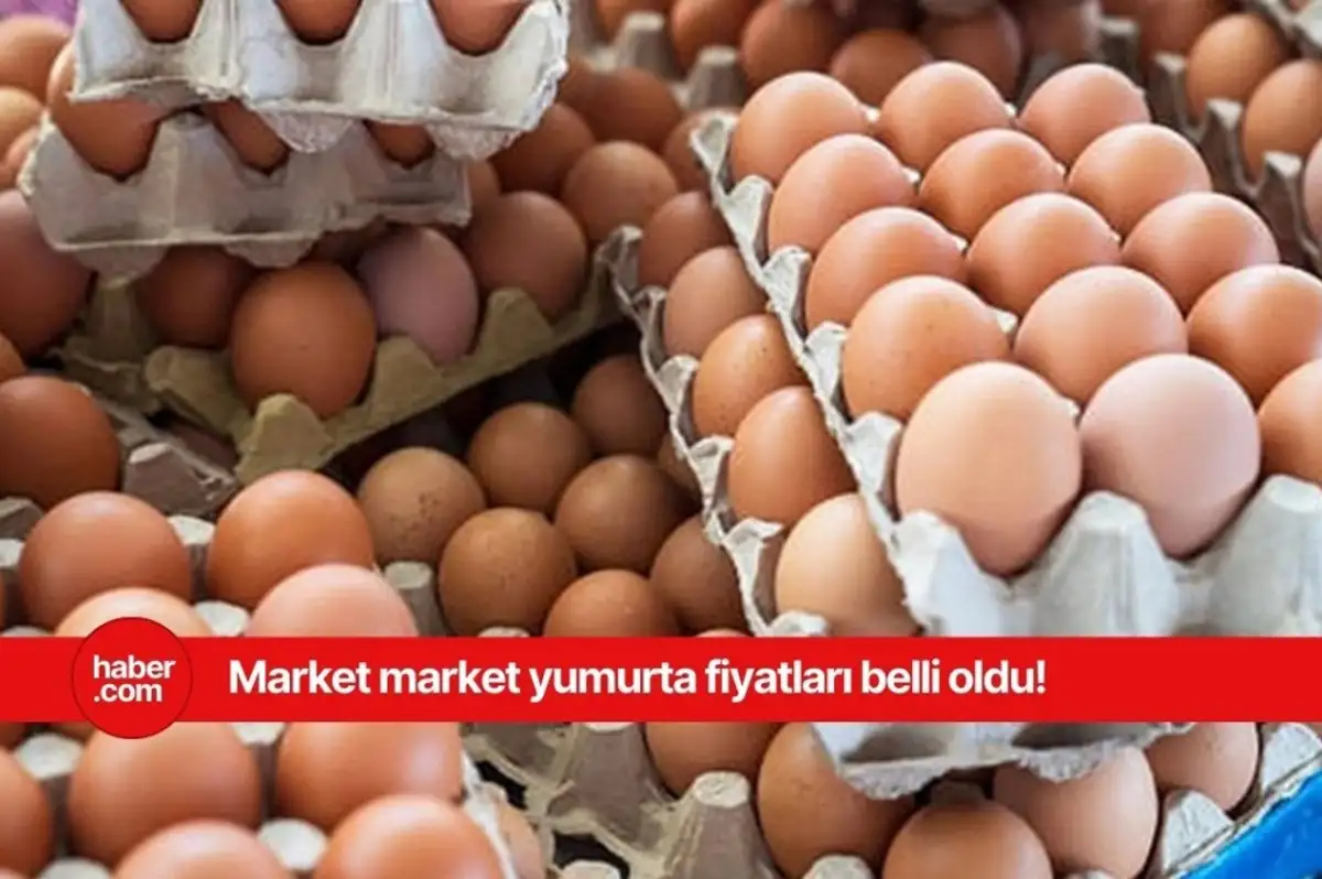 BİM, A101, ŞOK yumurta fiyatları ne kadar? Market market güncel yumurta fiyatları