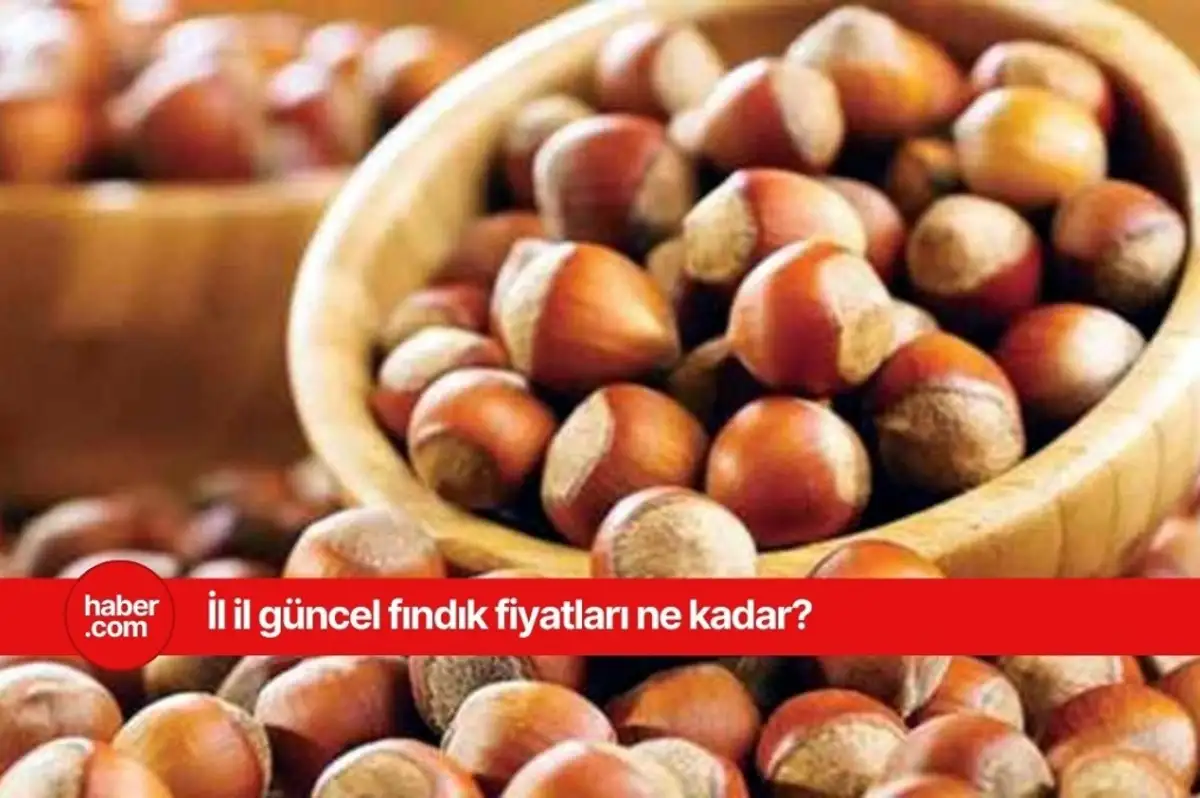 21 Mart 2025 Cuma fındık fiyatları ne kadar? Güncel fındık fiyatları