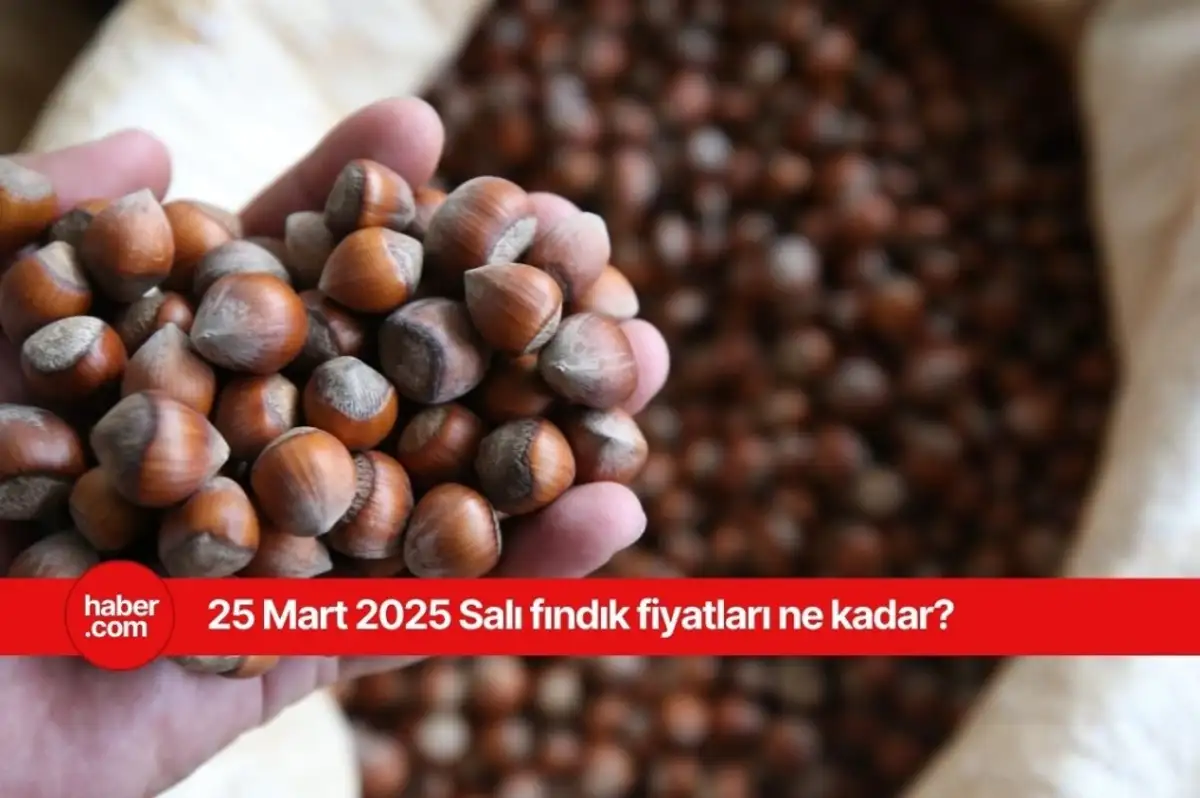 25 Mart 2025 Salı fındık fiyatları ne kadar? İl il güncel fındık fiyatları