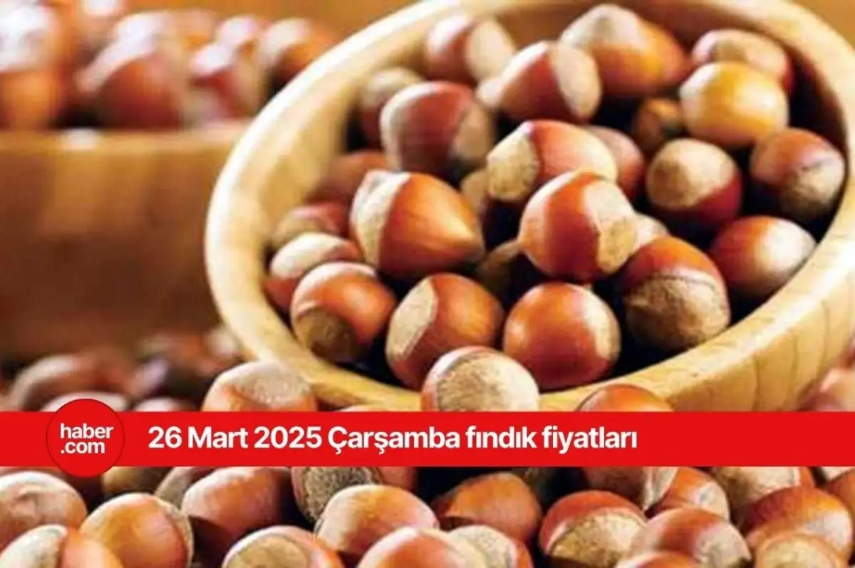 26 Mart 2025 Çarşamba fındık fiyatları! Bugün fındık fiyatları ne kadar?