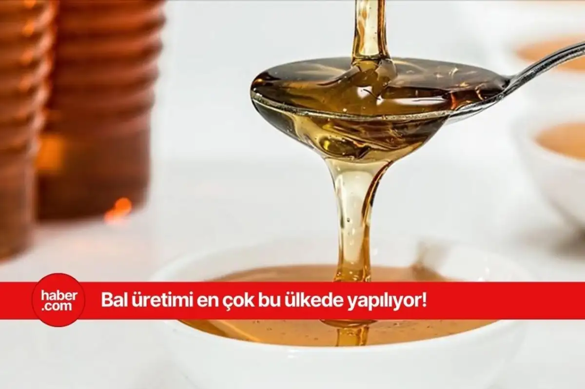 En çok bal üretimi yapan ülkeler belli oldu! Türkiye listede bakın kaçıncı sırada