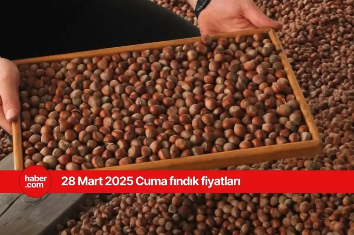 28 Mart 2025 Cuma fındık fiyatları ne kadar? Bugün fındık fiyatları ne kadar?