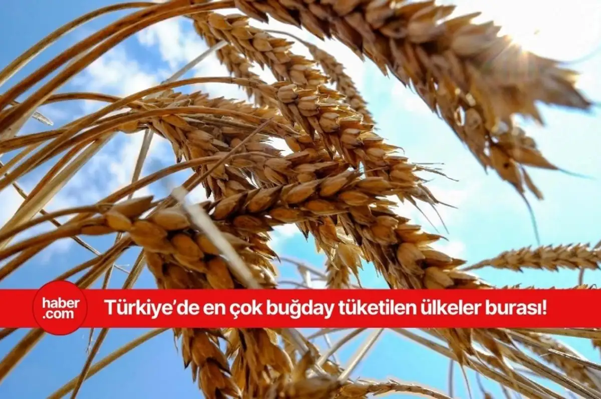 En çok buğday tüketen ülkeler açıklandı! Bakın Türkiye kaçıncı sırada yer alıyor
