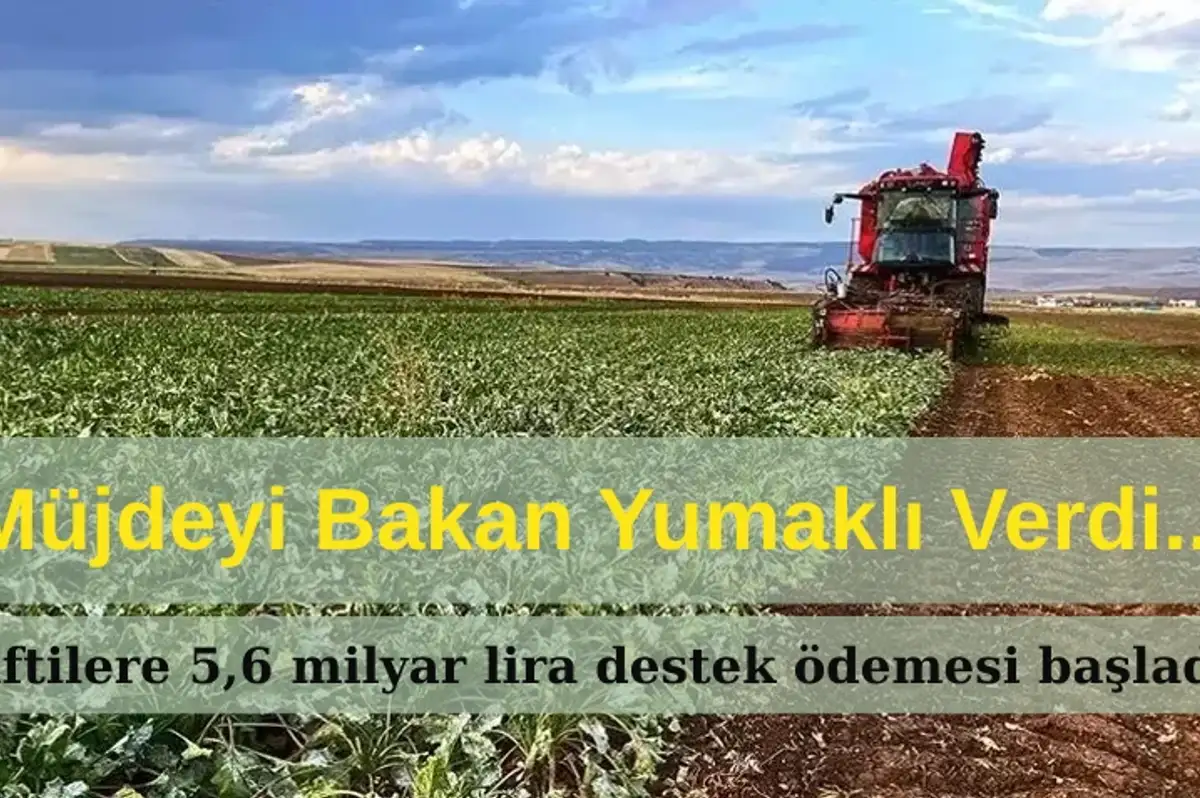 Çiftçilere 5,6 Milyar Liralık Destek Ödemesi Başladı