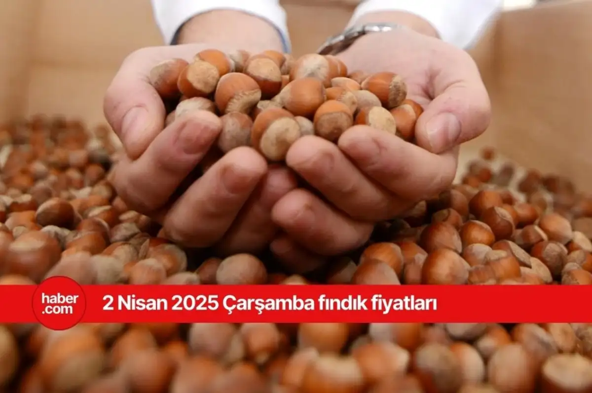 2 Nisan 2025 Çarşamba fındık fiyatları ne kadar? İl il fındık fiyatları