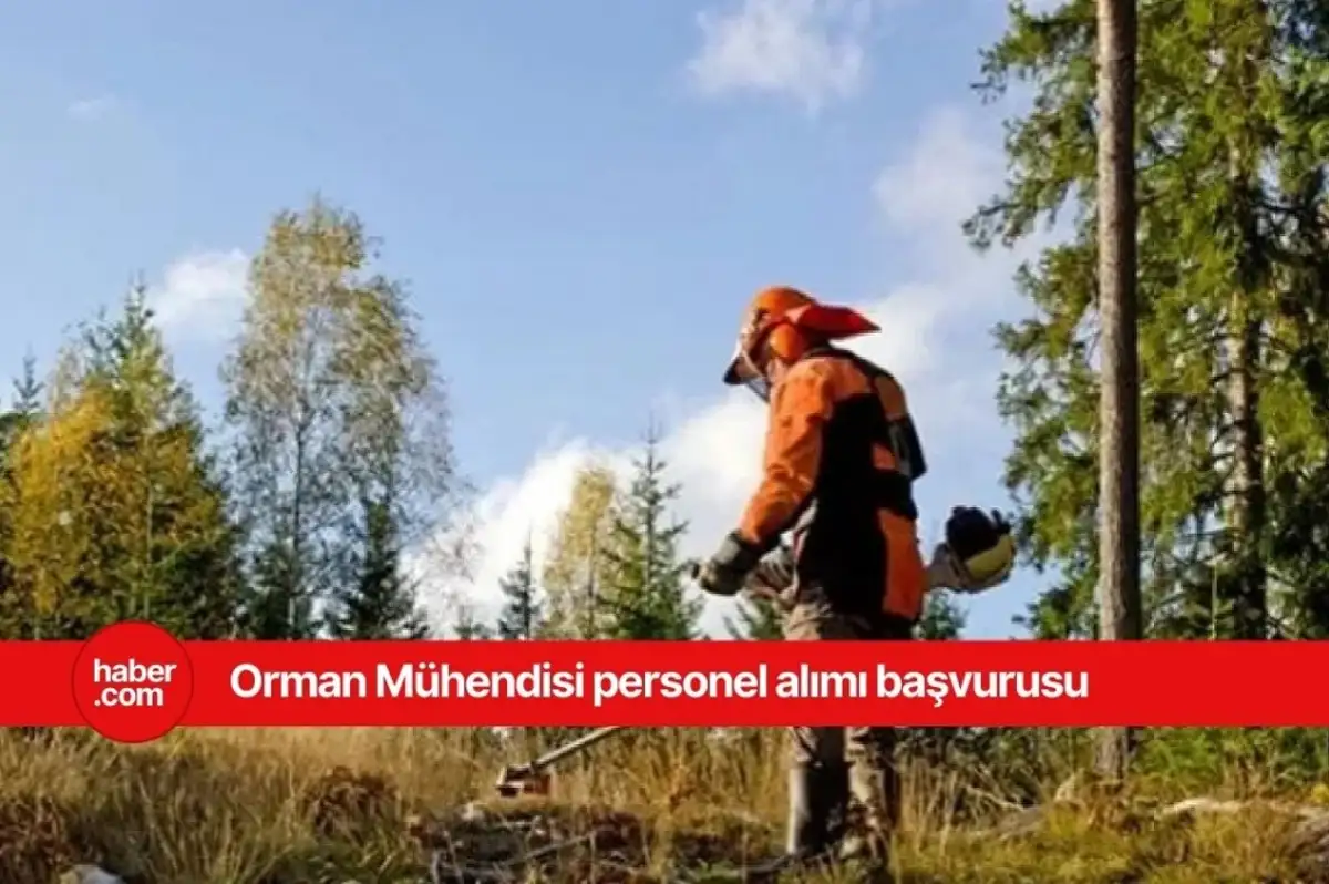 2025 OGM Orman Mühendisi alımı başvurusu!