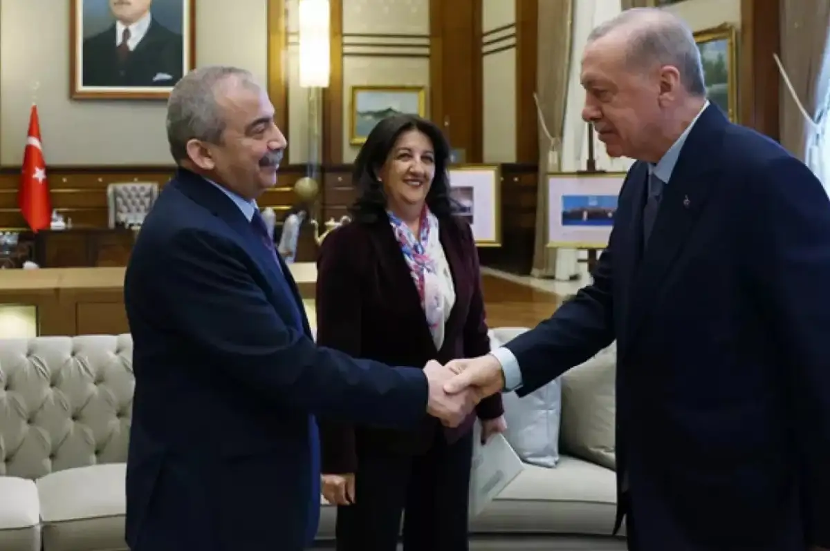 Cumhurbaşkanı Erdoğan'dan Sırrı Süreyya Önder için Geçmiş Olsun Telefonu