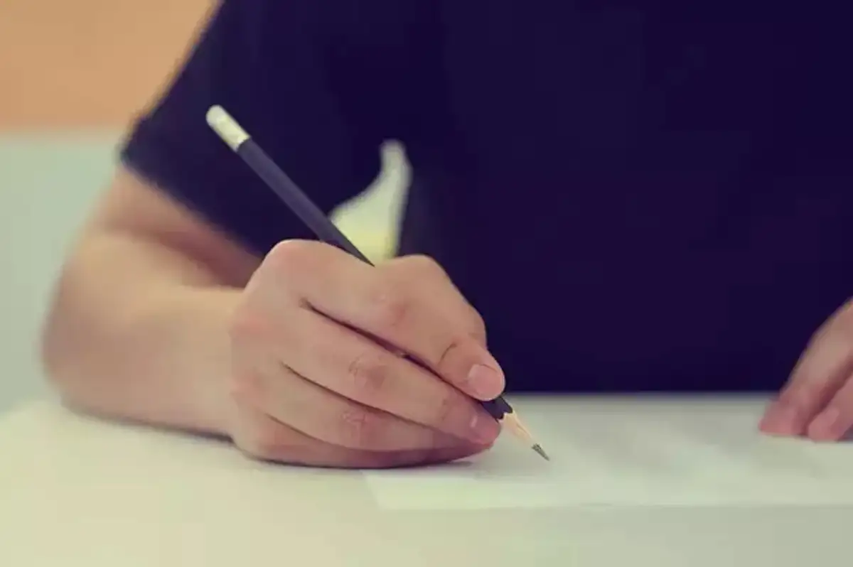 2025 ALES Sonuçları Açıklandı: İşte Sorgulama Ekranı