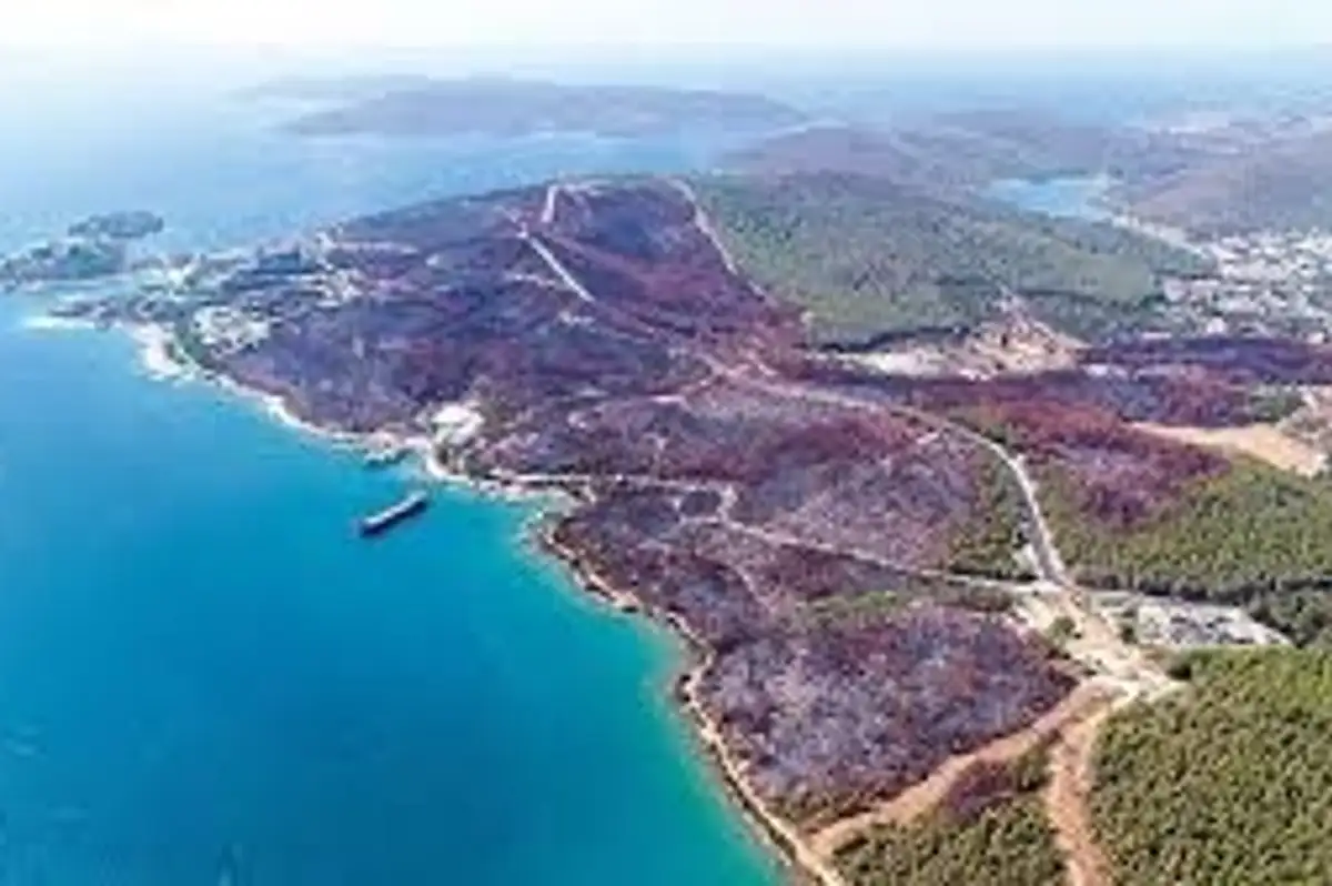 Muğla'da Orman Yangınlarını Önlemek için Yeni Tedbirler