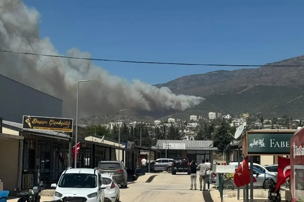 Hatay'da Ormanlık Alanda Yangın