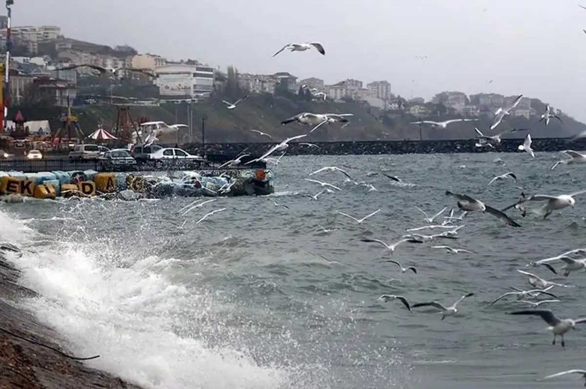 Yeni Haftada Yağışlı ve Serin Hava Geliyor