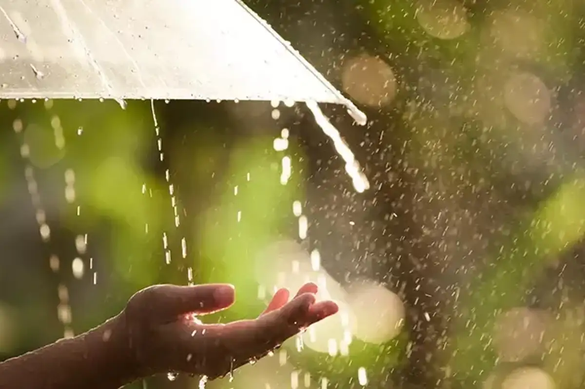 Meteoroloji'den O Bölgeler için Kuvvetli Yağış ve Rüzgar Uyarısı!