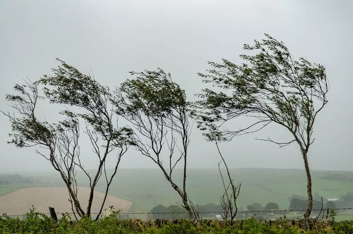Meteoroloji Uyardı: Yağış, Rüzgar ve Toz Taşınımına Dikkat