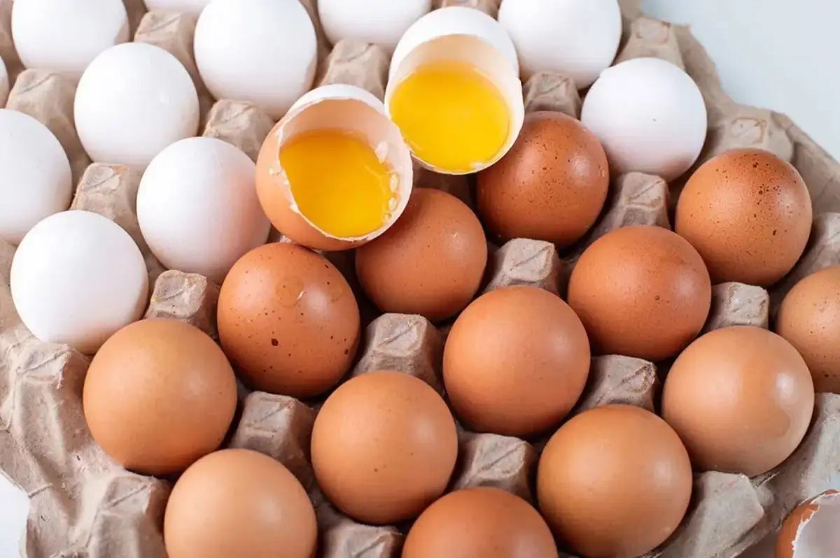 Yumurta Etiketlerinde Yeni Dönem