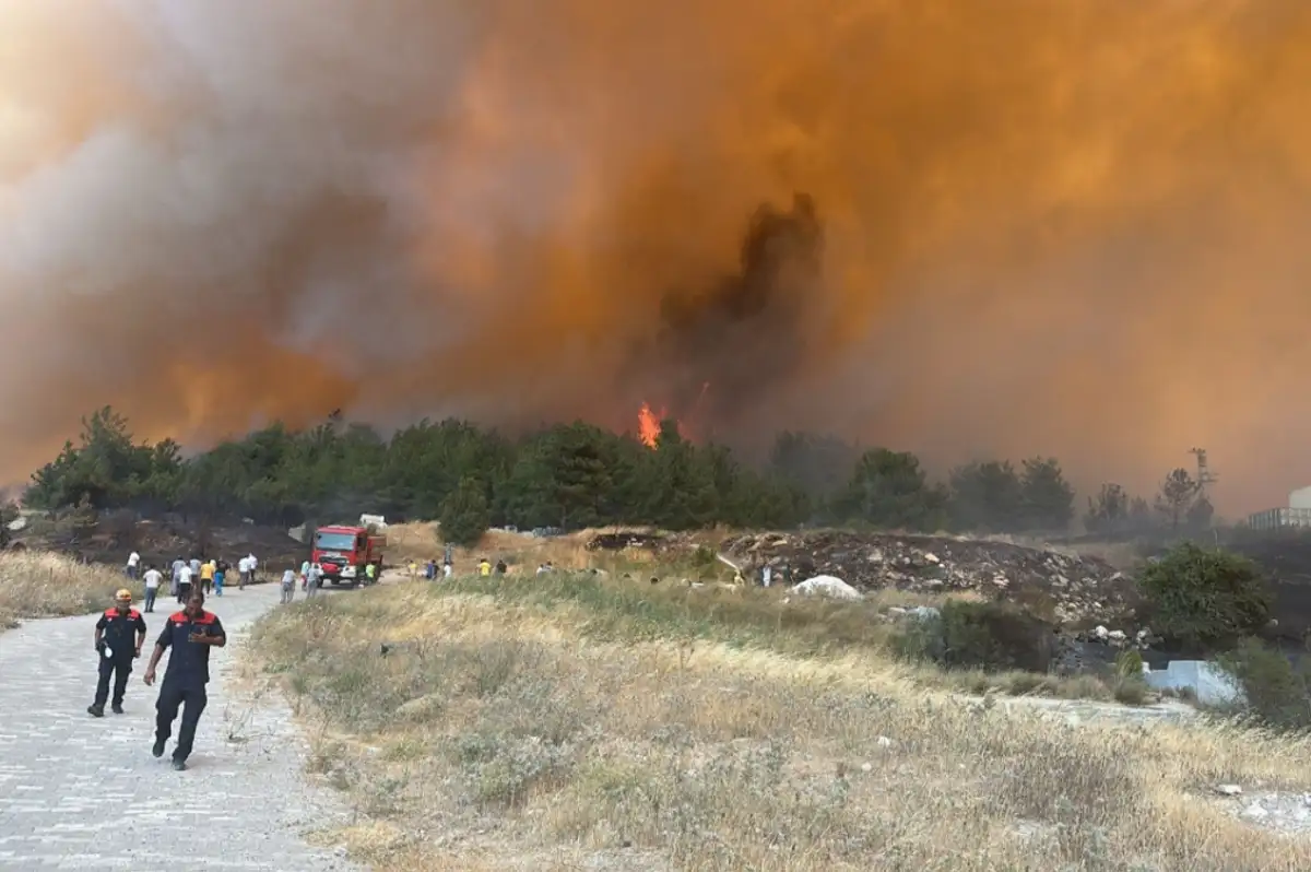 Çanakkale'de Orman Yangınları: İki İlçede Alevlerle Mücadele Sürüyor