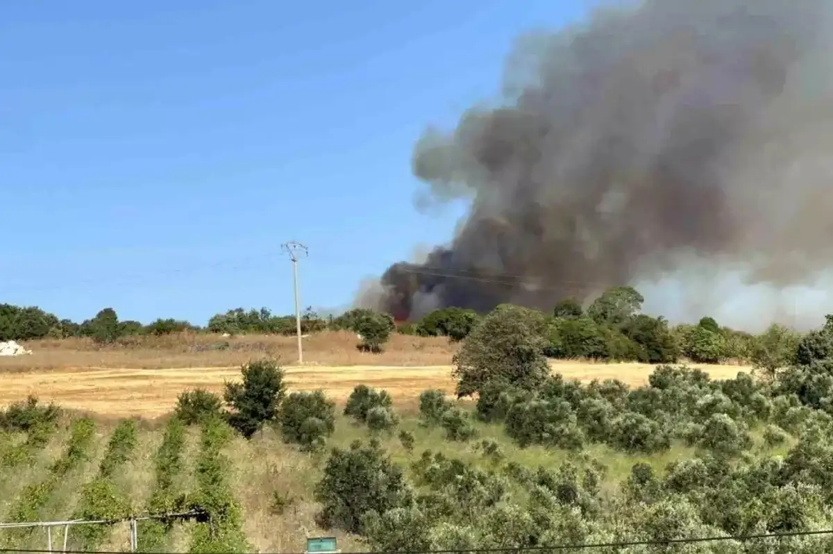 Çanakkale Lapseki'de Tarım Arazisinde Başlayan Yangın Ormana Sıçradı
