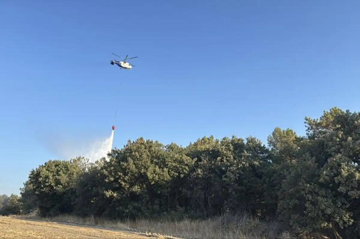 Çanakkale, Edirne ve Hatay'daki Yangınlar Kontrol Altında