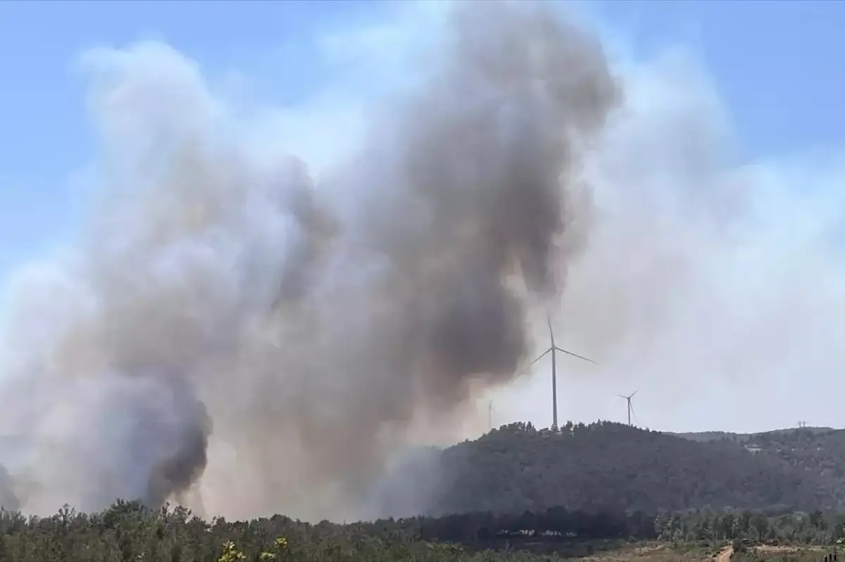 Çanakkale'de Orman Yangını: Kazdağları Tehlikede!