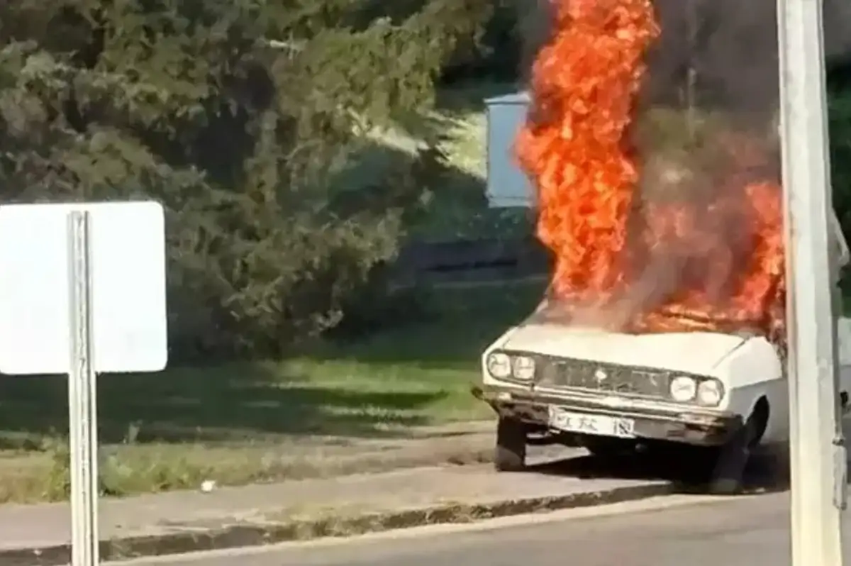 TBMM Önünde Toros Yakan Şüpheli Tutuklandı!