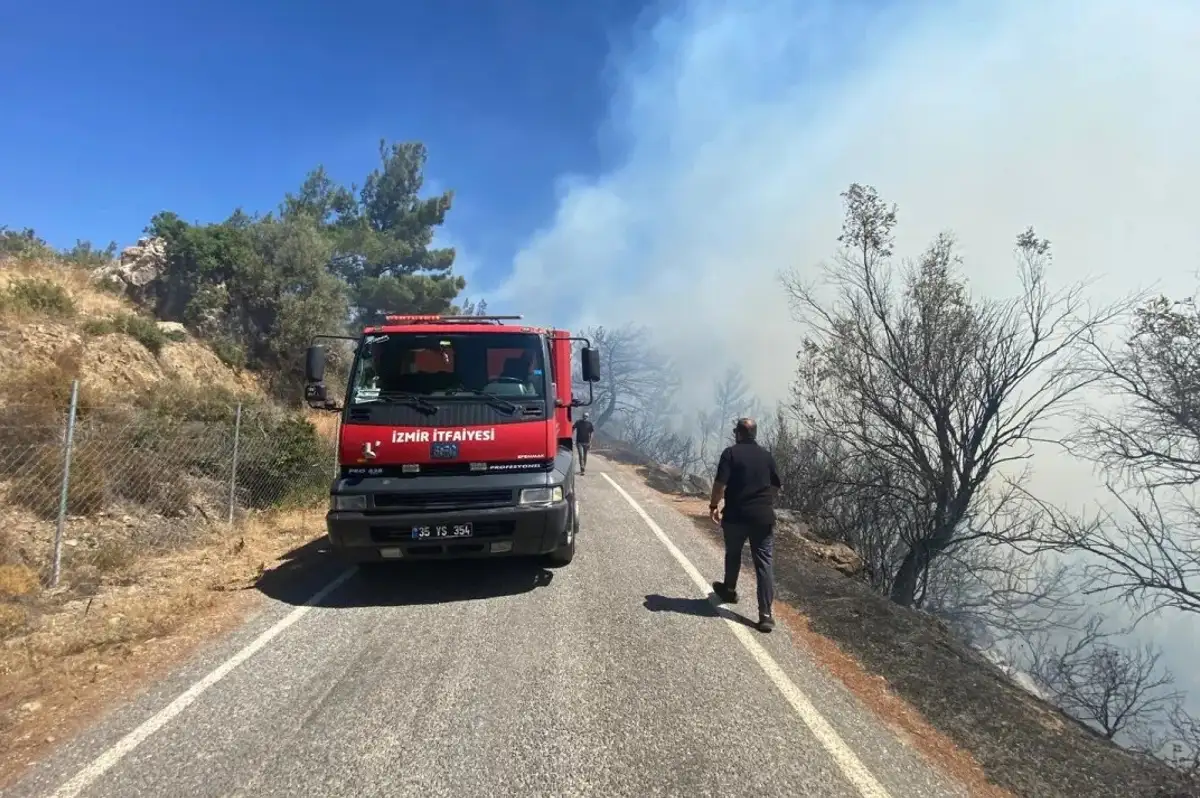 İzmir Seferihisar'da Ormanlık Alanda Yangın Çıktı