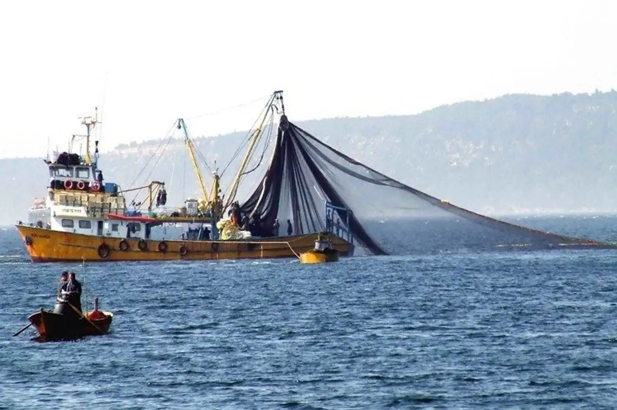 Karadenizli Balıkçılar Av Sezonuna Umutla Başladı