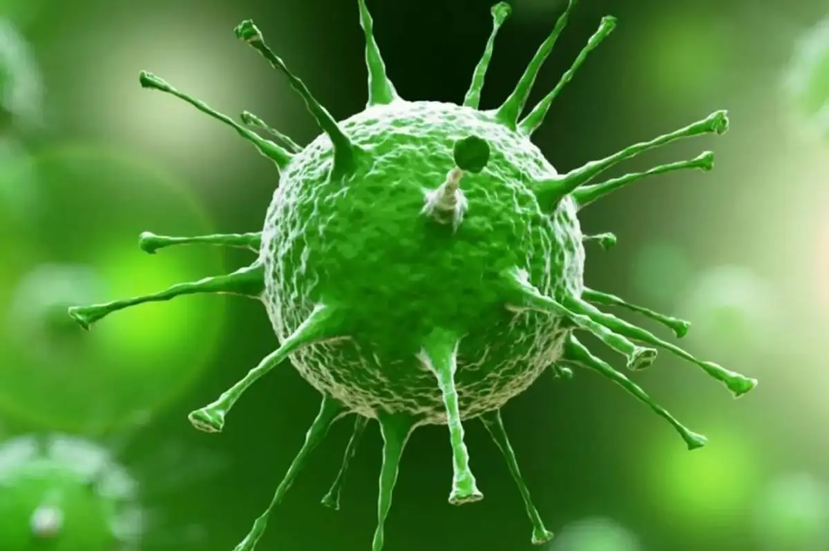 Nipah Virüsü Alarmı: "Türkiye İçin Risk Var mı?" Uzman İsimden Kritik Uyarılar