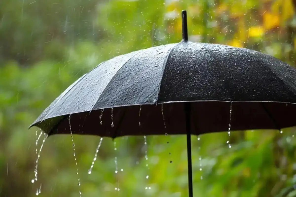 Meteoroloji'den "Kuvvetli Yağış" ve "Çığ" Uyarısı: 6 Şubat'ta Hava Durumu Nasıl Olacak?