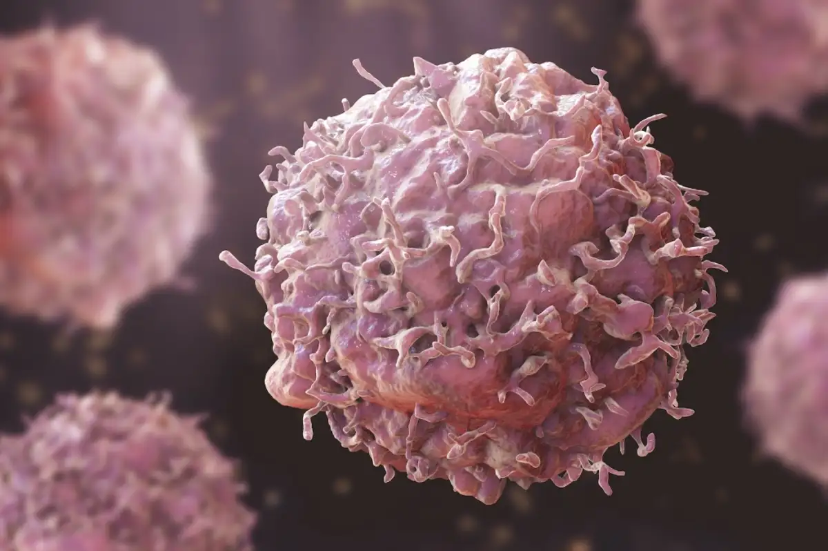 Kanserle Savaşta "Tümör Yiyen" Bakteriler Göreve Hazırlanıyor