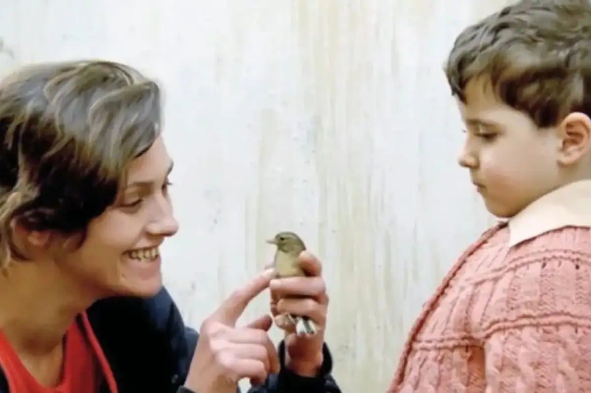 Münih'te Türk Sineması Rüzgarı: 37. Türk Film Günleri Başlıyor!