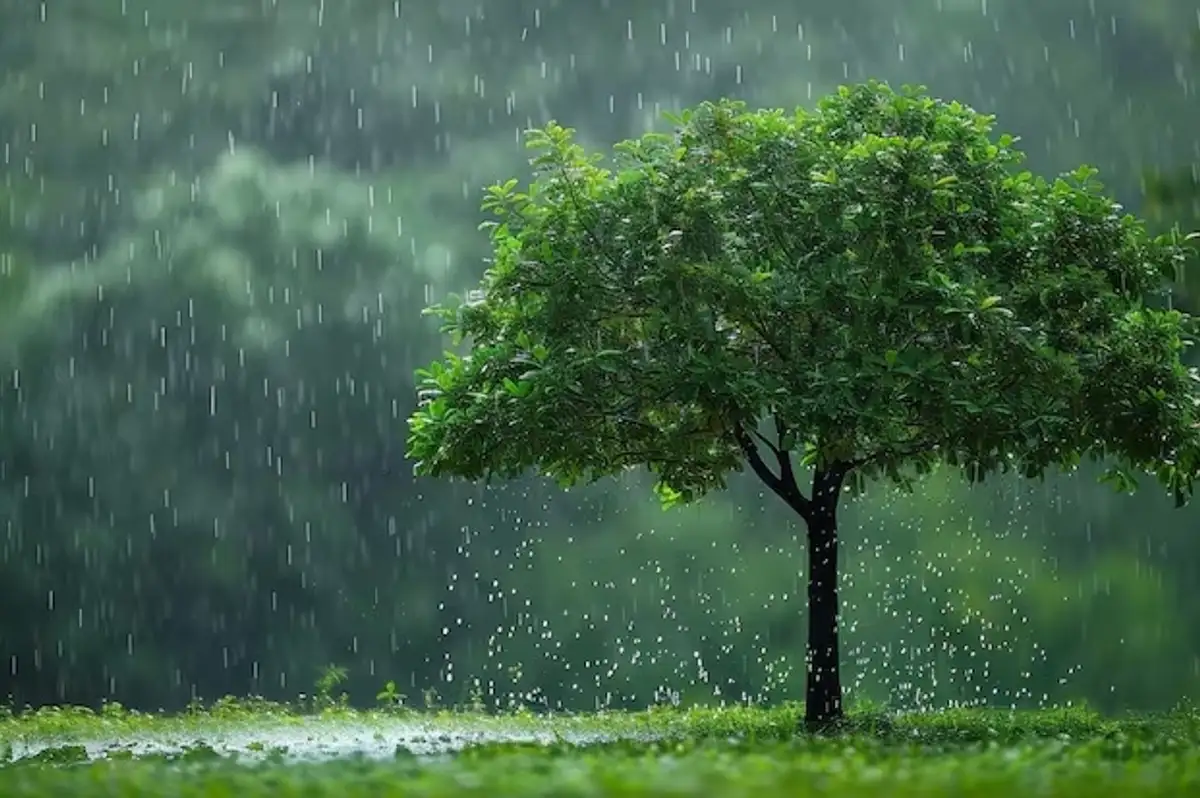 Meteoroloji'den Kritik Uyarı: Marmara'da Sağanak, Doğu'da Çığ!