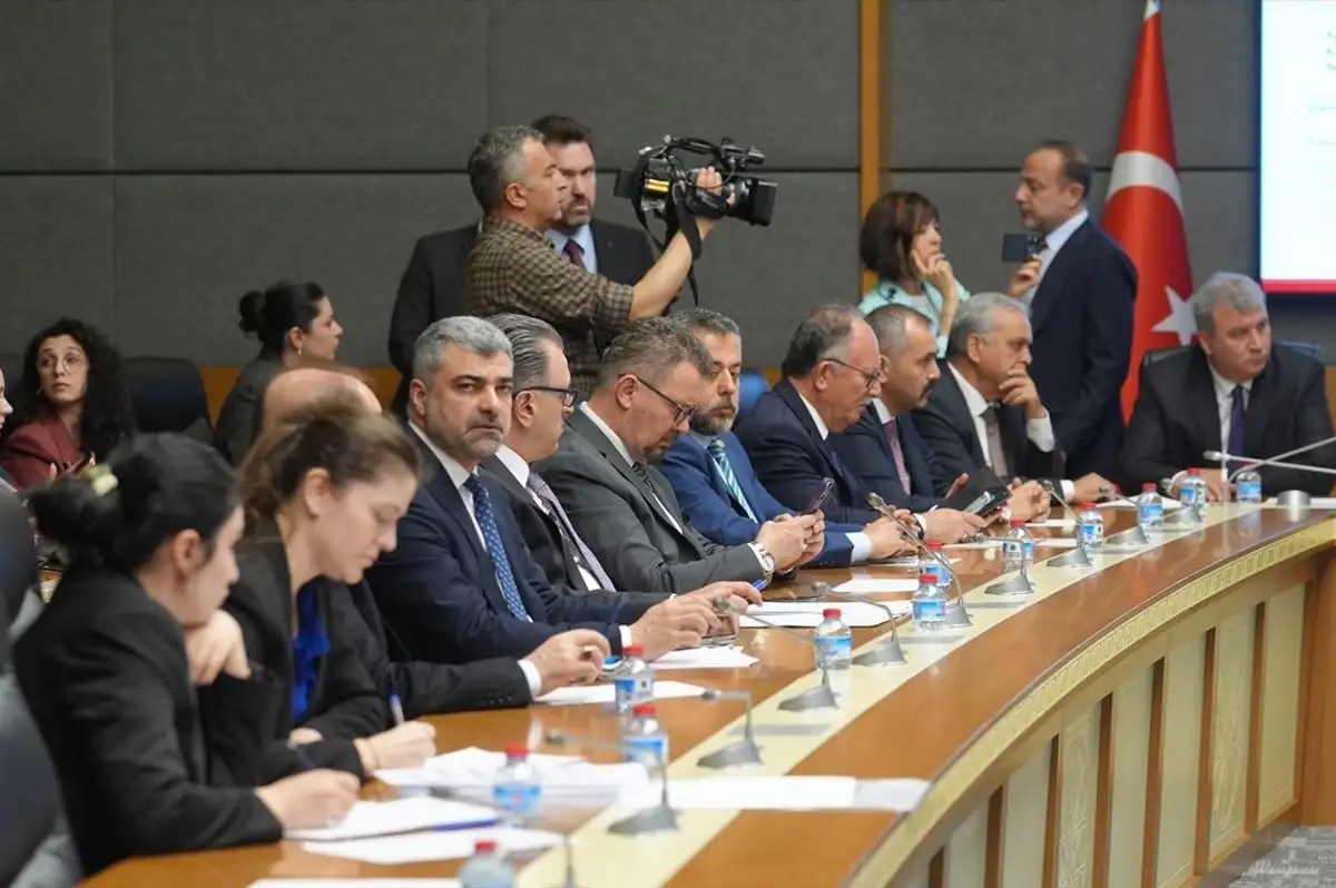Sokak Hayvanlarına Dair Çalışmalarda Son Durum