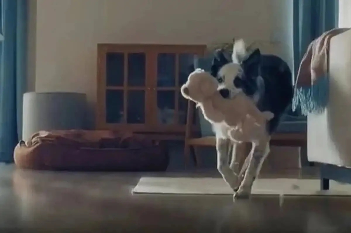 Bosch'un "Anneler Günü" Reklamı İnfial Yarattı: RTÜK İnceleme Başlattı, Reklam Yayından Kaldırıldı!