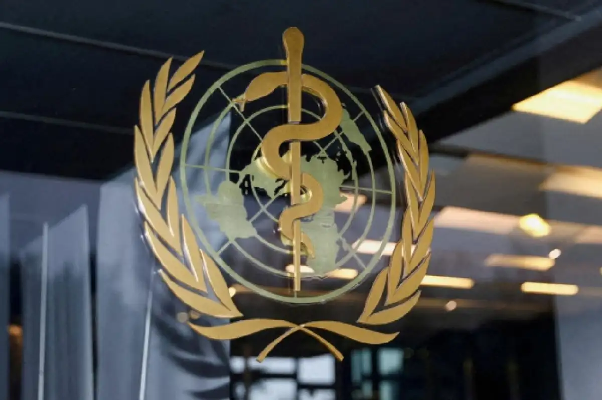 DSÖ'den Hantavirüs ve Ebola Açıklaması: "Küresel Risk Düşük"