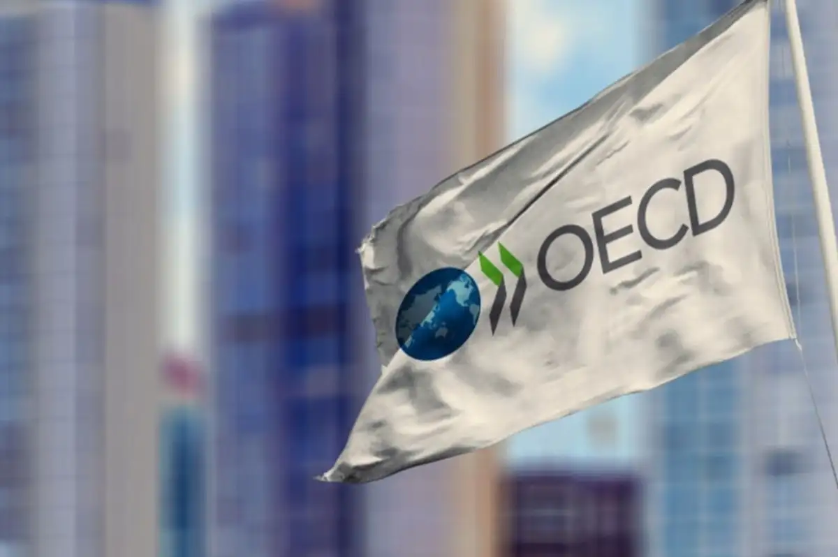 OECD: Türkiye Reel Ücret Artışında Zirveye Yerleşti