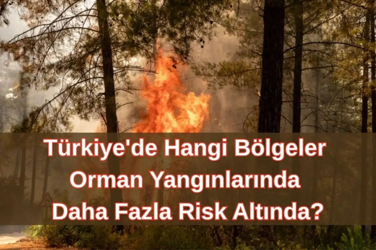 Avrupa'da Yangın Riski Tırmanıyor: Yeni Haritada Türkiye'nin Batısı Öne Çıktı