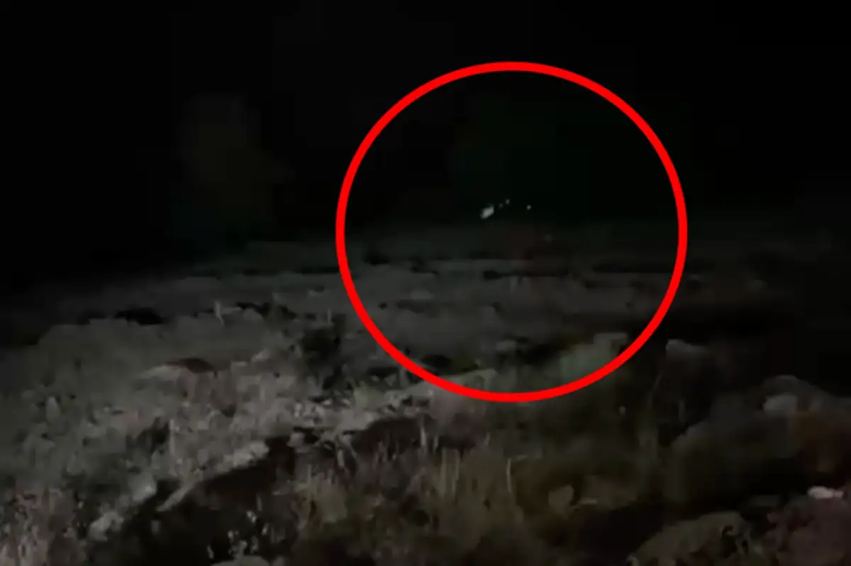 Bingöl Genç'te araç uçuruma yuvarlandı: 4 ölü, 5 yaralı
