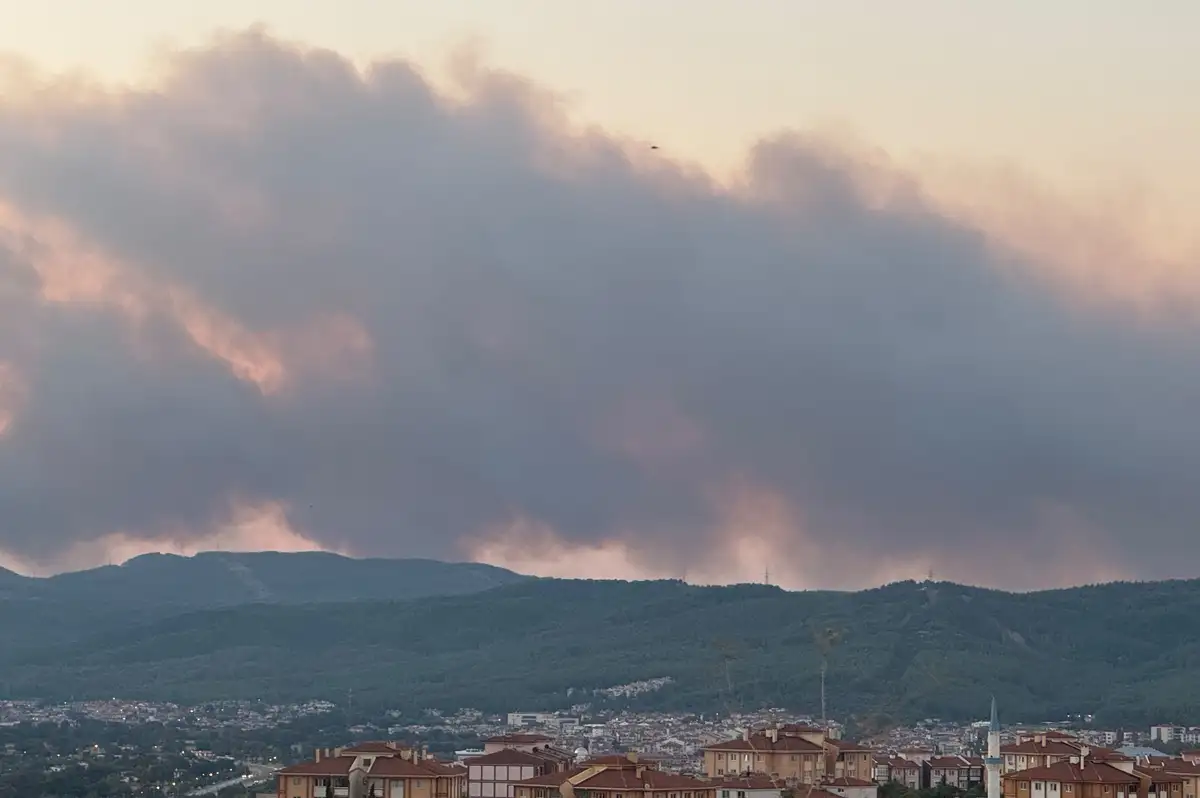 Muğla'da orman yangını kuvvetli rüzgar nedeniyle büyüdü