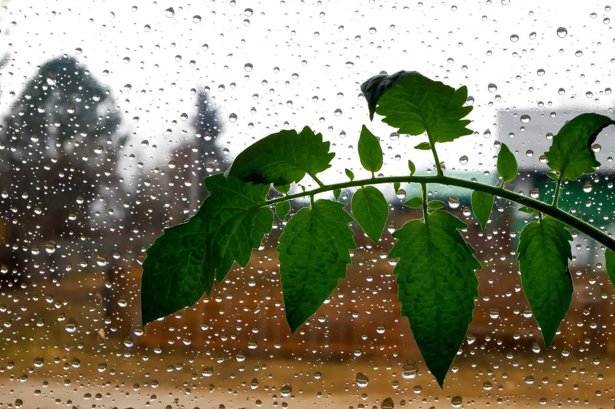 Meteoroloji ve AKOM’dan Peş Peşe Uyarı: 4 Kentte Sarı Kodlu Alarm