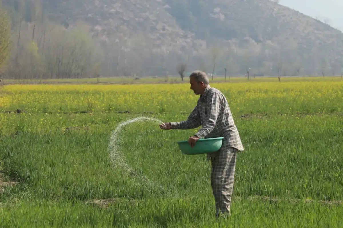 Çiftçinin Enflasyonunda Ağustos Sürprizi: Aylık Düşüşe Rağmen Yıllık Fiyatlar Yüksek