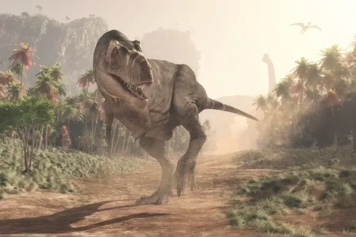 T-rex ile insanın vücut ısısı ortak özelliği ortaya çıktı