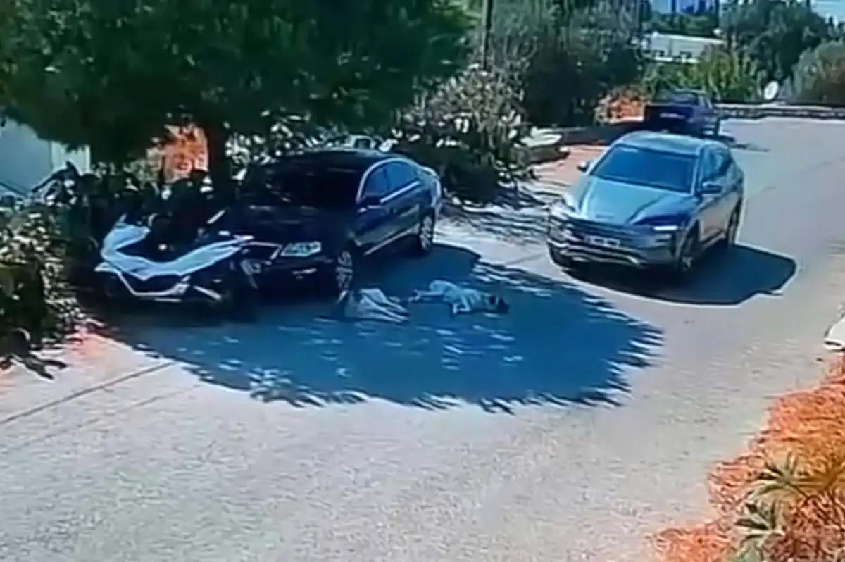 Otomobille iki köpeğin üzerinden geçti, yoluna devam etti