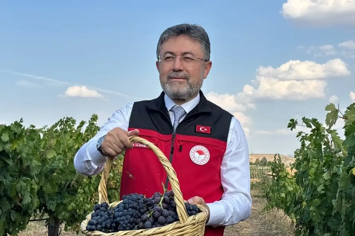 Bakan Yumaklı: "Üzüm Üretimi Bu Yıl 3 Milyon 850 Bin Tona Çıkacak"