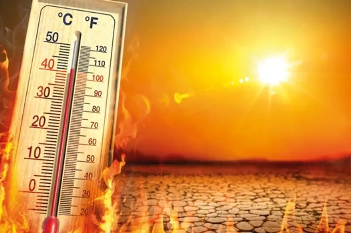 Chicago Üniversitesi: Godzilla El Nino 451 bin ek ölüme yol açabilir