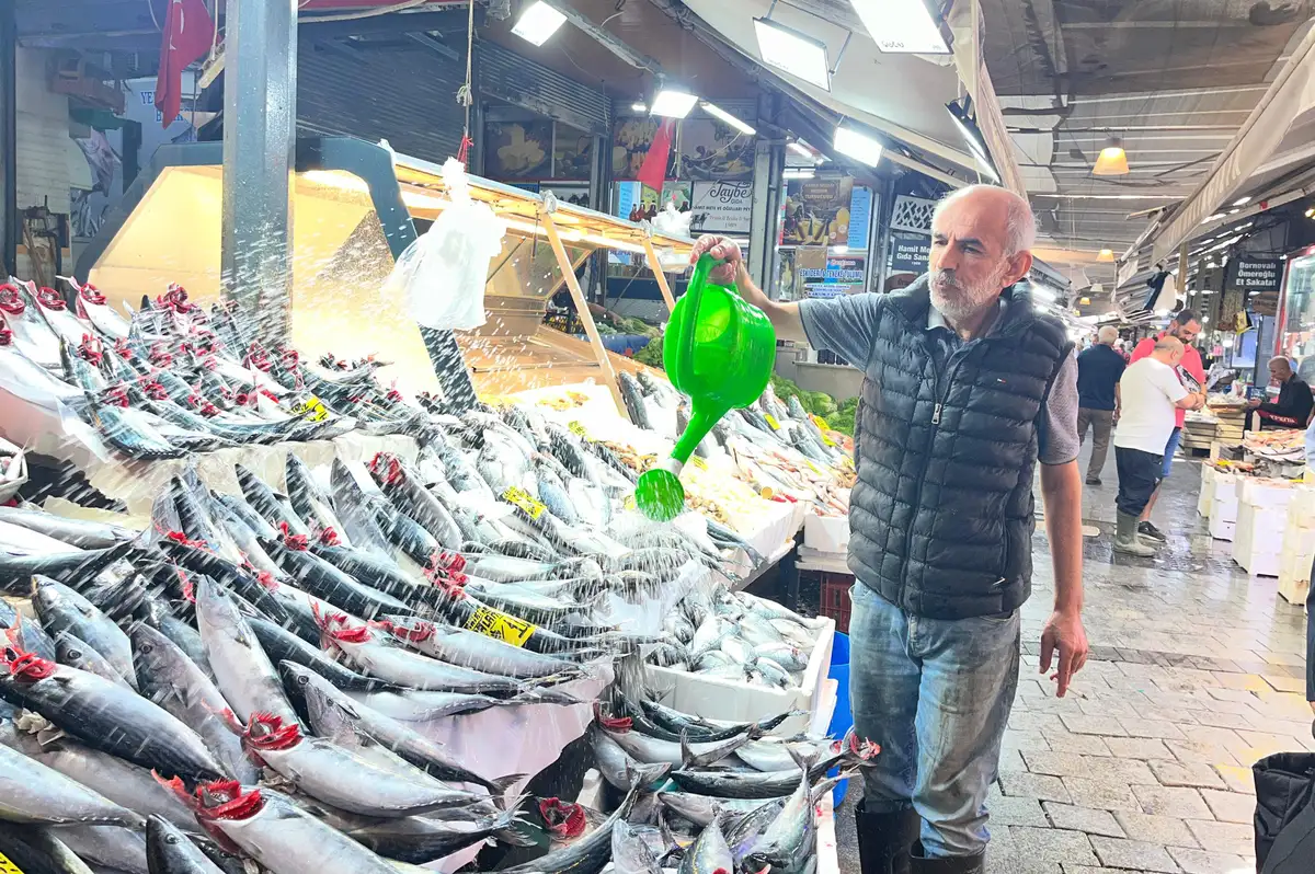 İzmir tezgahlarında palamut bolluğu: Tanesi 100 lira